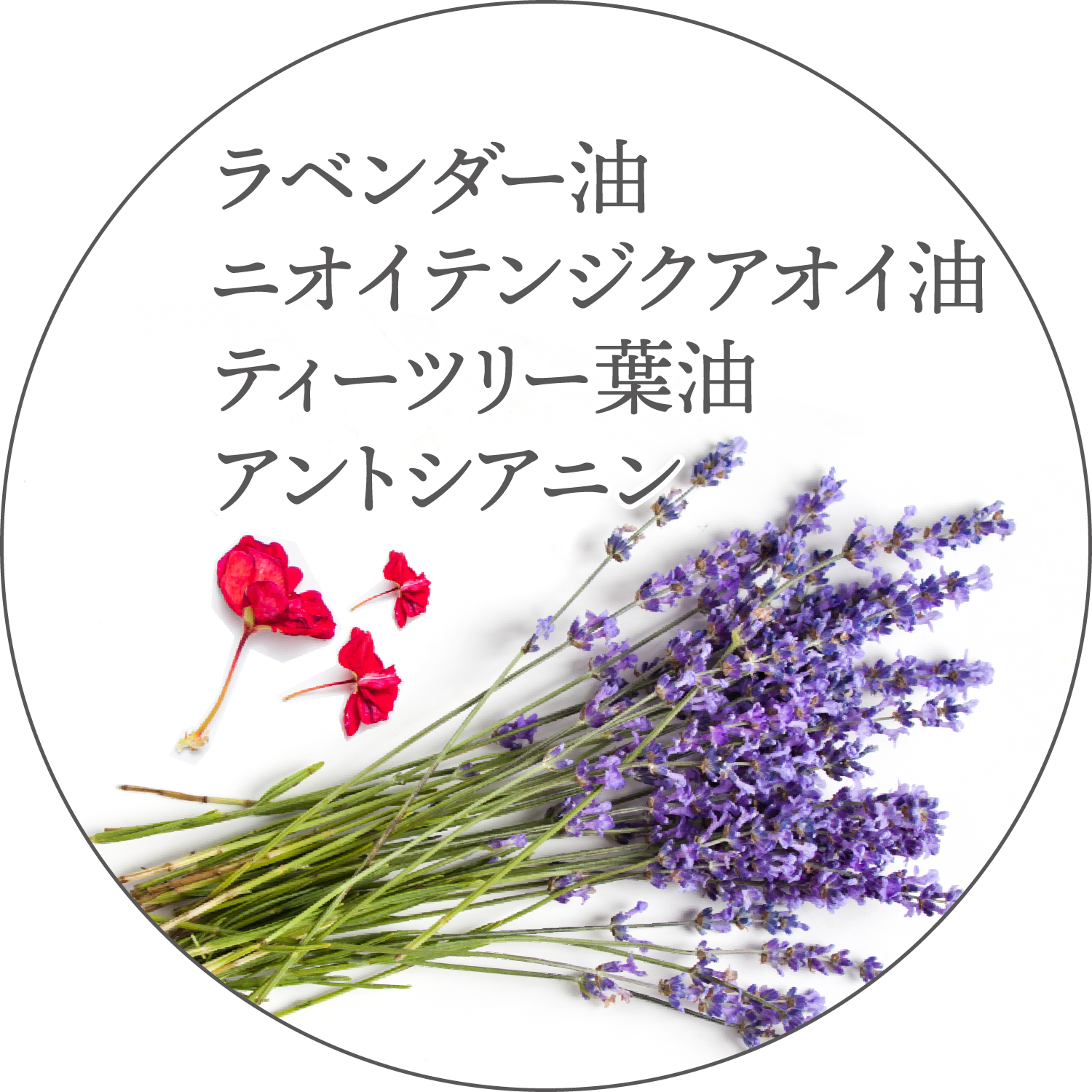 Ici コスメストア Fin ボディソープ ラベンダー ゼラニウム 400ｍl